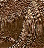 Wella Color Touch Plus 66-03