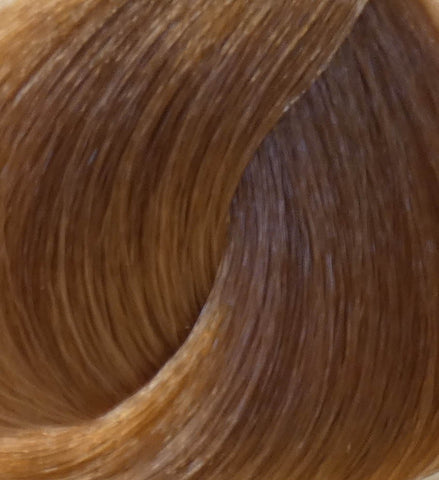 Colorianne Prestige 8-93