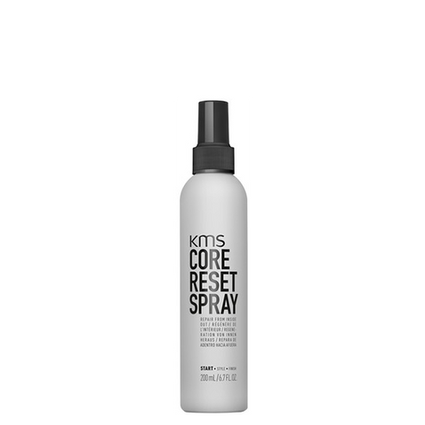 KMS Core Reset Spray