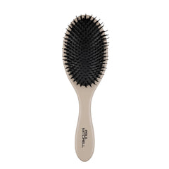 Paul Mitchell Dressing Brush