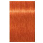 Schwarzkopf Igora Vibrance 0-77