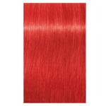 Schwarzkopf Igora Vibrance 0-88