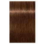 Schwarzkopf Igora Vibrance 6-6