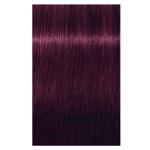 Schwarzkopf Igora Vibrance 6-99