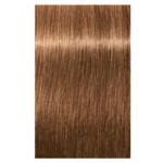 Schwarzkopf Igora Vibrance 7-65