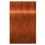 Schwarzkopf Igora Vibrance 7-77
