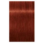 Schwarzkopf Igora Vibrance 7-88