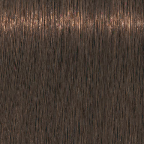 Schwarzkopf Igora Royal Absolutes 7-460