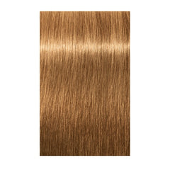 Schwarzkopf Igora Royal 8-55