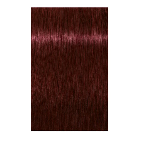 Schwarzkopf Igora Royal 4-88