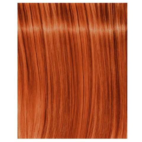 Schwarzkopf Igora Royal Fashion Lights L-77