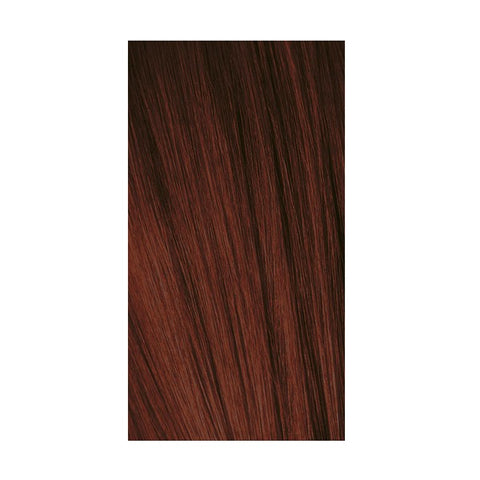Schwarzkopf Igora Color10 4-88