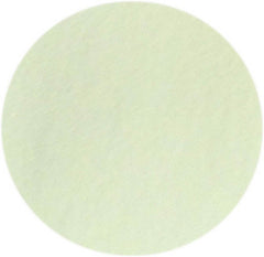 Poudre Vert Pastel pour ongle