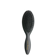 Altesse brosse en poils de sanglier